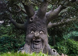 De leukste uitjes in Noord-Brabant! Noord-Brabant