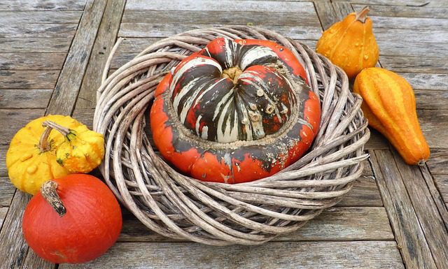 Zelf je herfstdecoratie maken herfstdecoratie