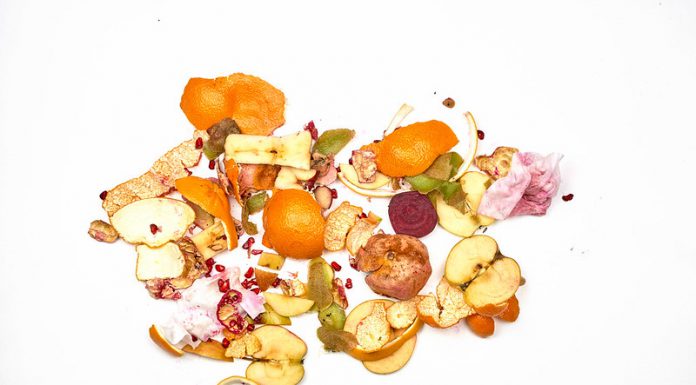 Een leven zonder afval afval