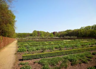 Wanneer kun je beginnen met de moestuin? moestuin
