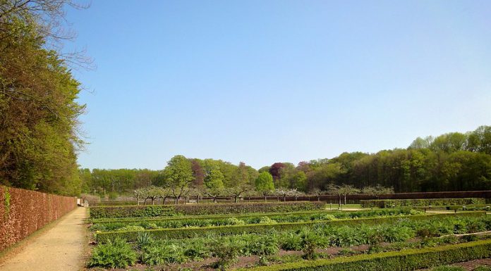 Wanneer kun je beginnen met de moestuin? moestuin