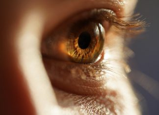 Welke lens past bij mijn oog? lens oog