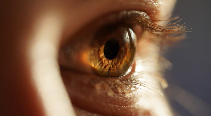 Welke lens past bij mijn oog? lens oog