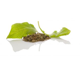 Ontdek de spirituele en genezende doeleinden van Salvia salvia plant